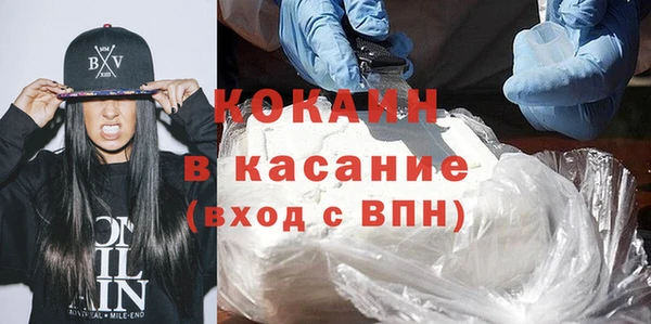 шишки Каменка