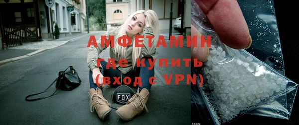 шишки Каменка
