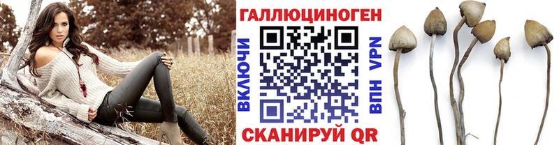 Галлюциногенные грибы Magic Shrooms  Кохма 